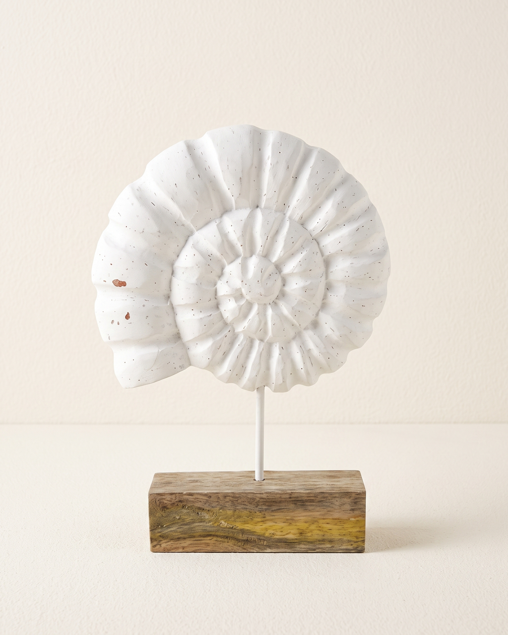 Coquillage Spirale sur Socle — Sculpture en Bois Blanchi