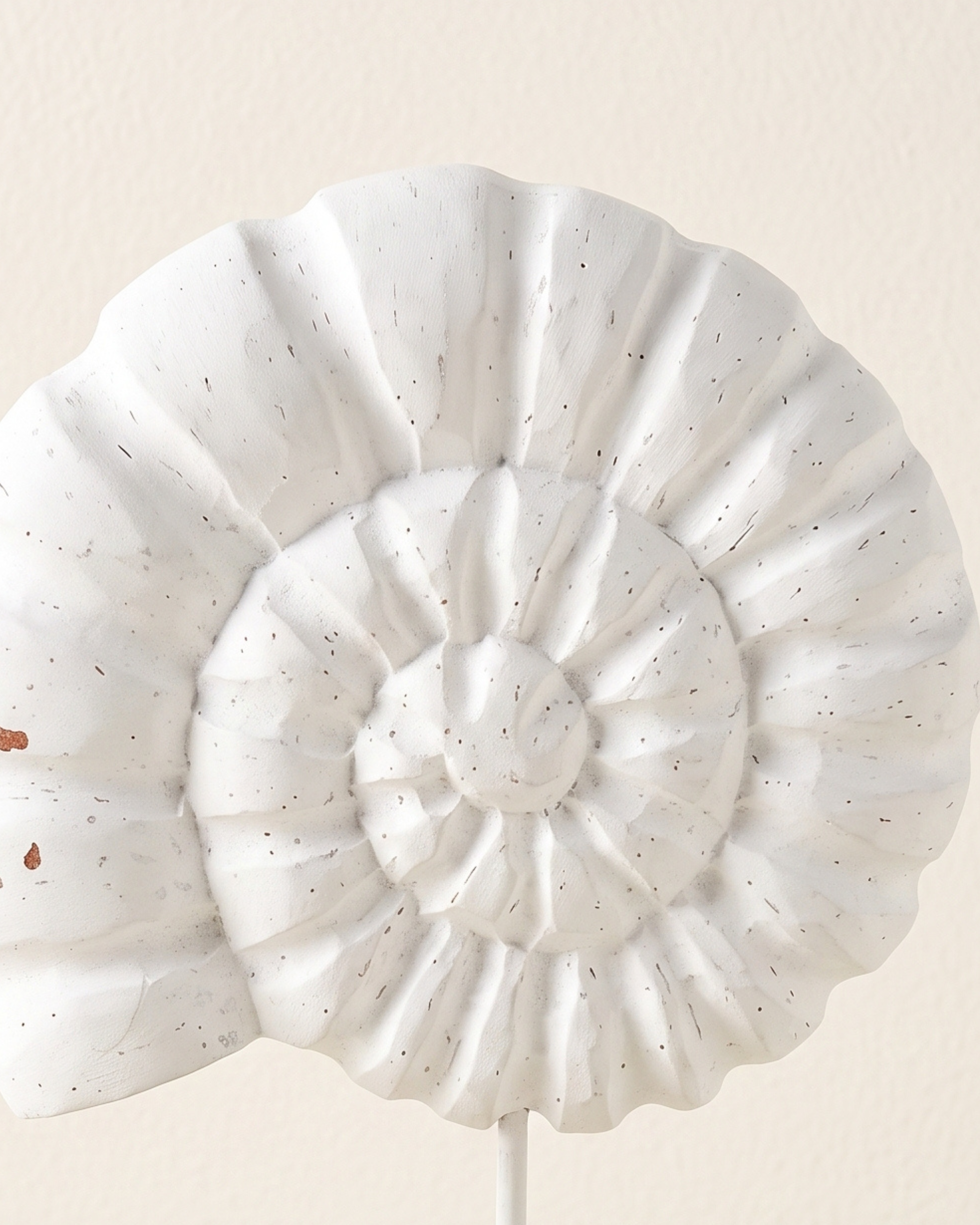 Coquillage Spirale sur Socle — Sculpture en Bois Blanchi