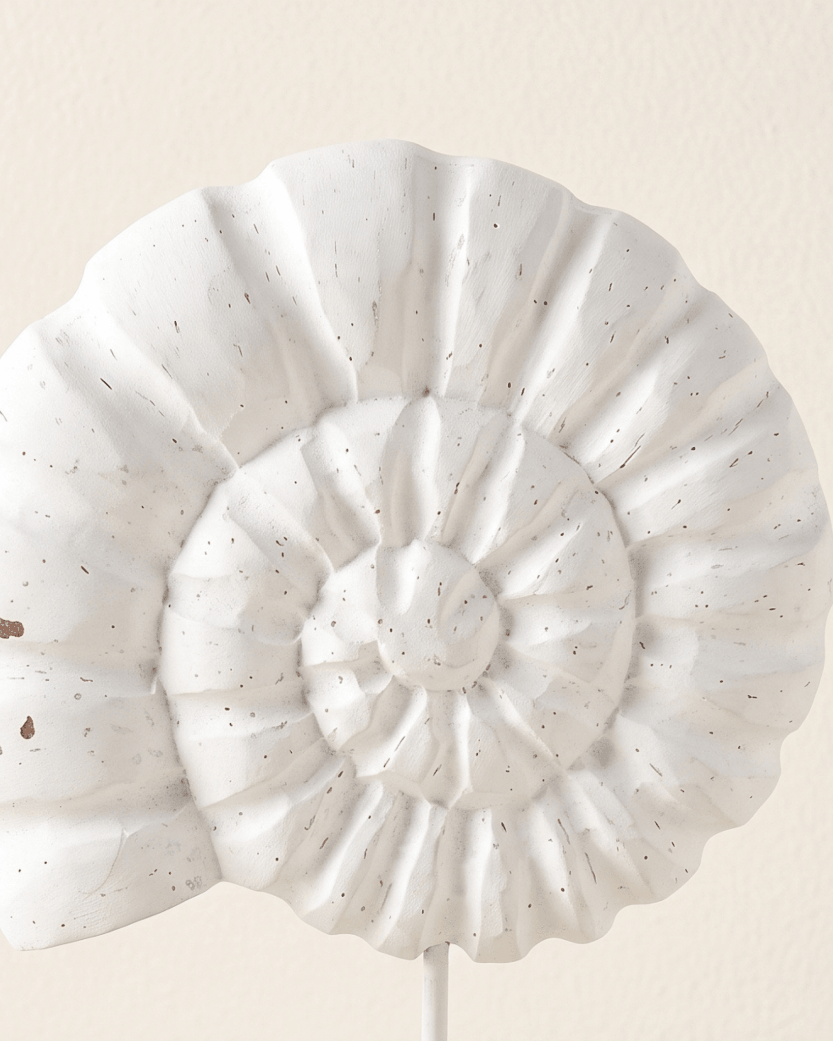 Coquillage Spirale sur Socle — Sculpture en Bois Blanchi - Marinette Saint-Tropez