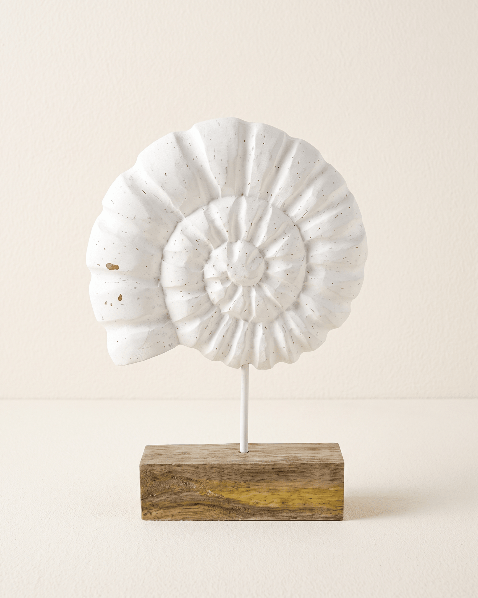 Coquillage Spirale sur Socle — Sculpture en Bois Blanchi - Marinette Saint-Tropez